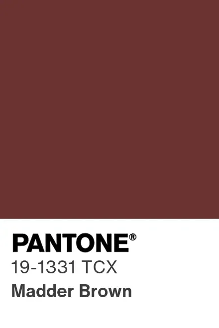 Pantone 19-1331