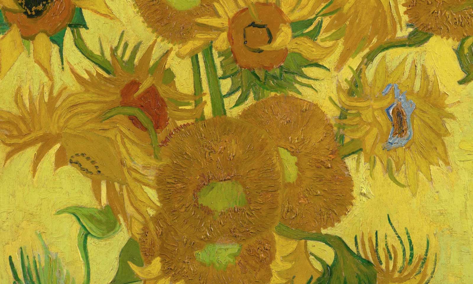 Van Gogh's Sunflowers